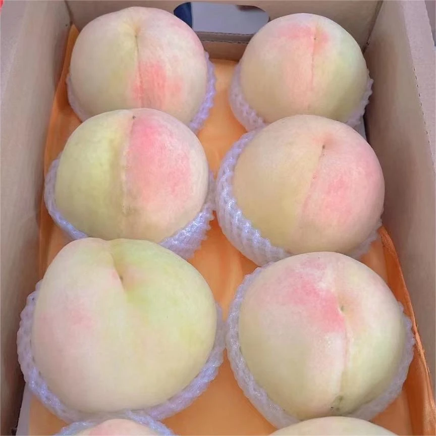 尚优水蜜桃5-7两礼盒装水果香甜爆汁现摘现发