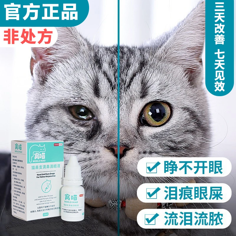 窝喵滴眼液猫狗结膜炎泪痕滴眼液猫咪滴眼改善宠物滴眼泪痕滴眼