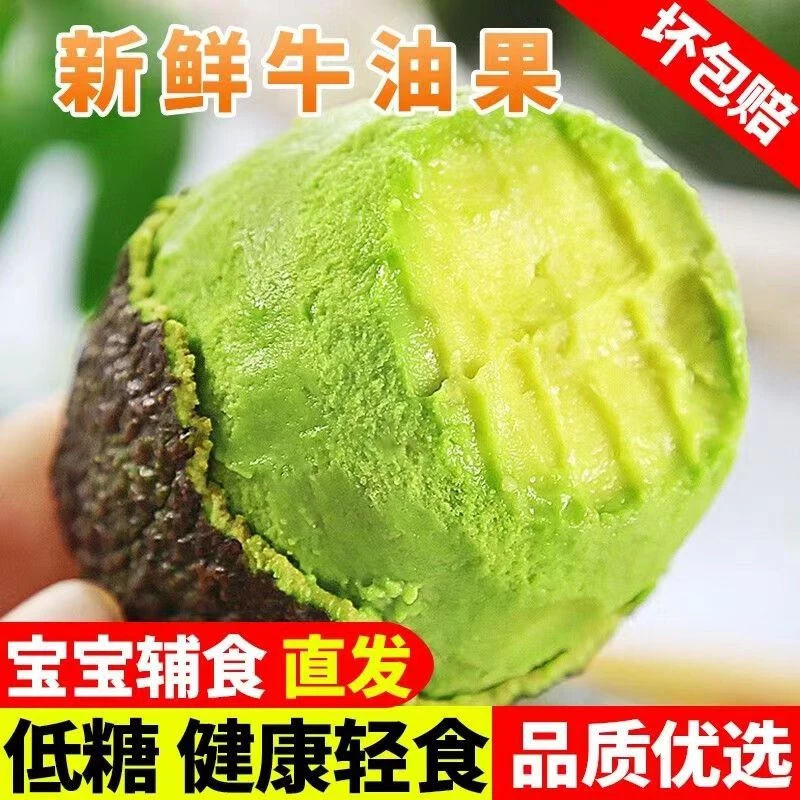 【放软食用】24年哈斯牛油果新鲜绵密坏果包赔