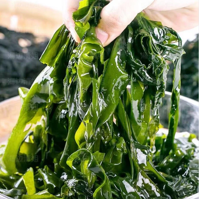 新鲜裙带菜一包200克 到手10包 连云港发货