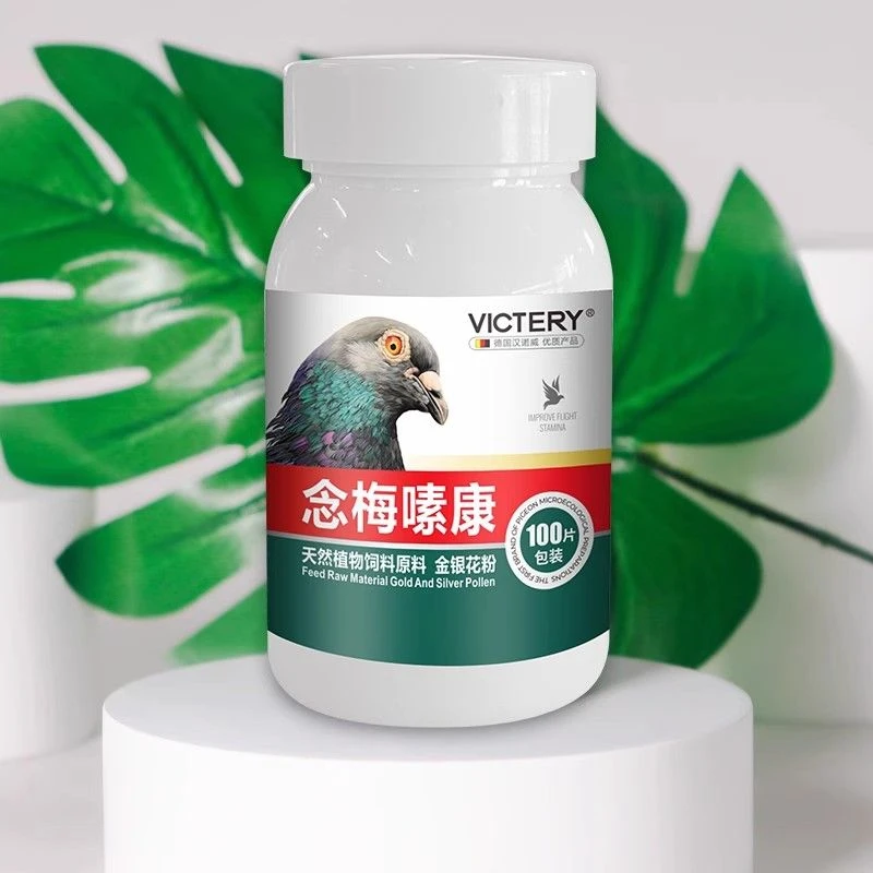 汉诺威念梅嗉康鸽子/赛鸽/肉鸽/观赏鸽/用品大全