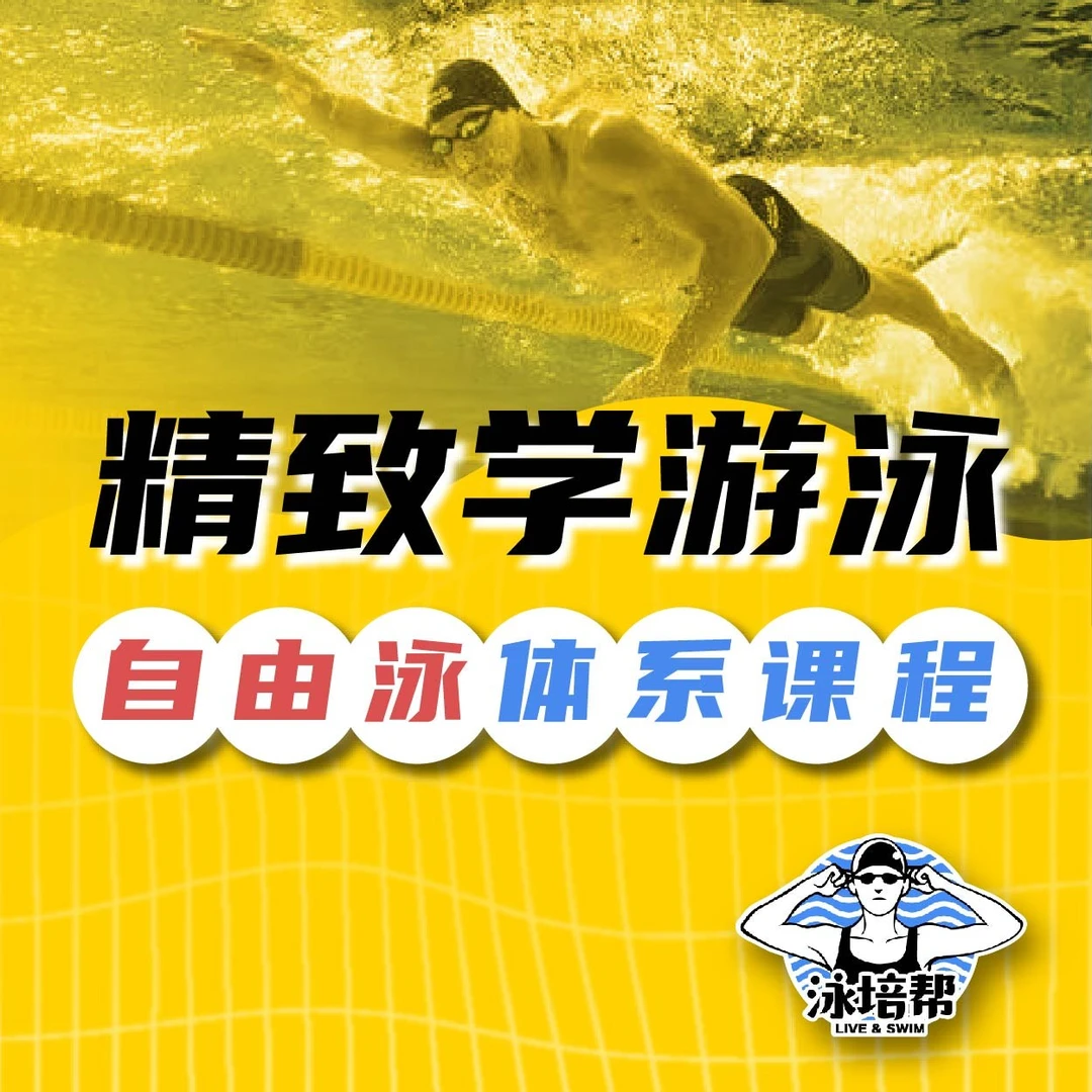 精致学游泳——自由泳体系课程
