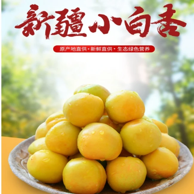 【顺丰空运】新疆直发正宗新疆轮台小白杏3斤 （鲜果）