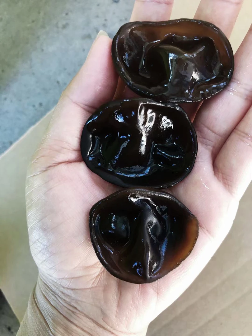 曼玉推荐黑龙江秋木耳（500g）