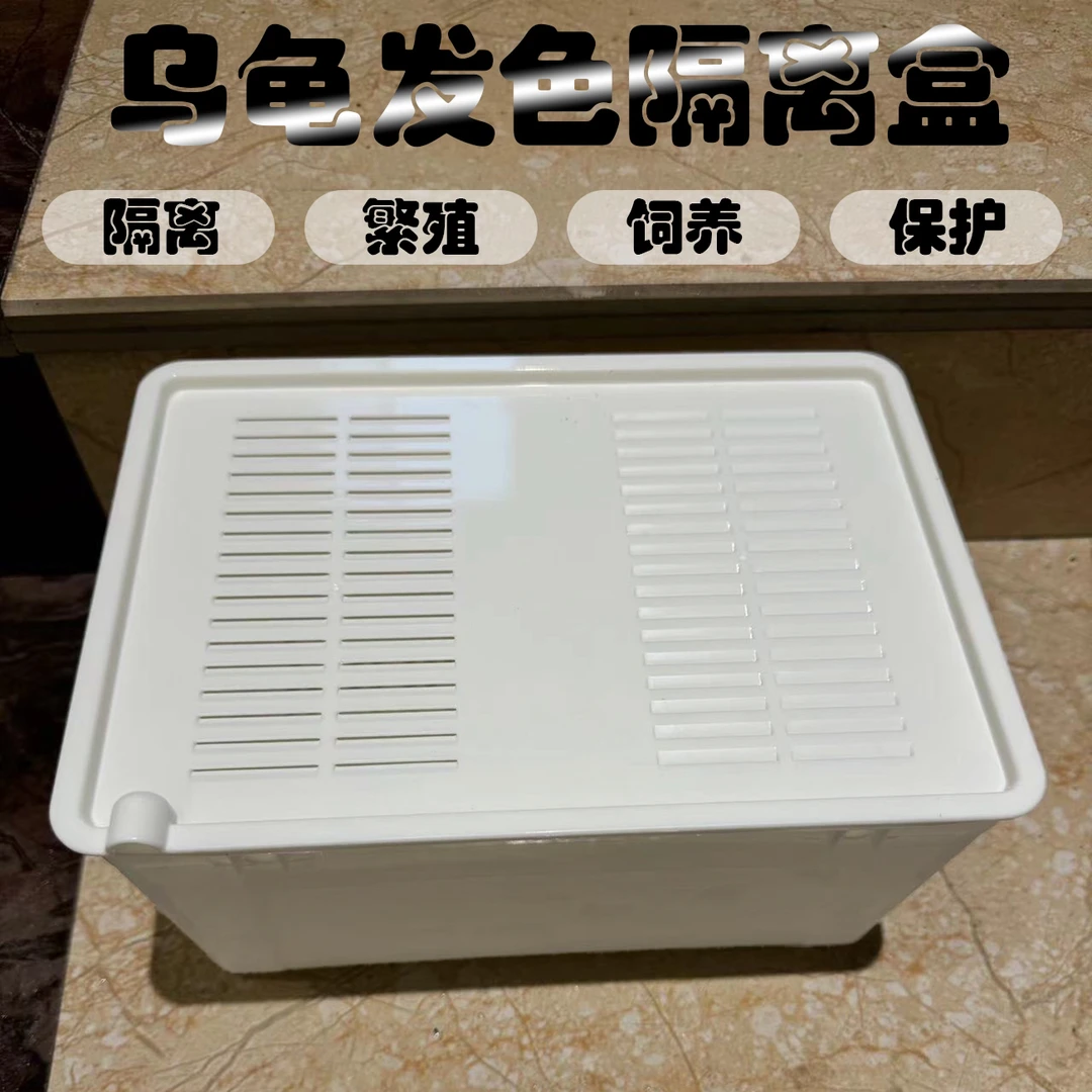 养龟盒子龟缸饲养蛋龟苗头盔果核苗隔离盒白色透明色大号小号