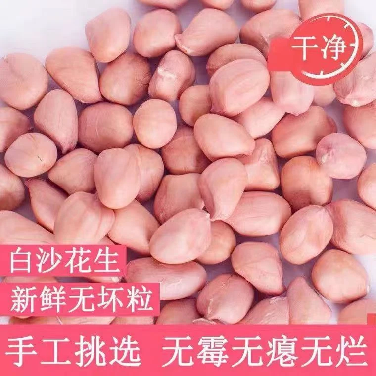 2025年新鲜大白沙花生米3斤5斤优质花生米花生仁白皮白衣花生米