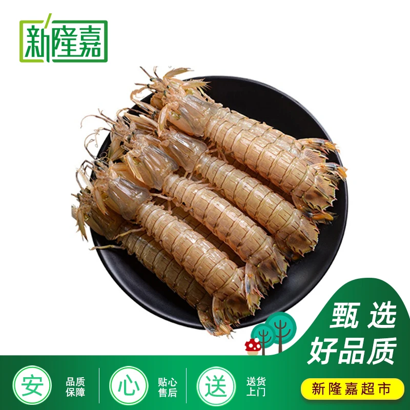 【鲜活】特大虾爬子 约3斤(保鲜不保活)