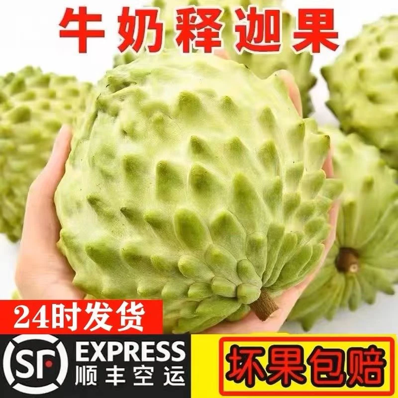 【顺丰礼盒包邮】云南高原凤梨释迦牛奶番荔枝新鲜甜水果大目释迦果