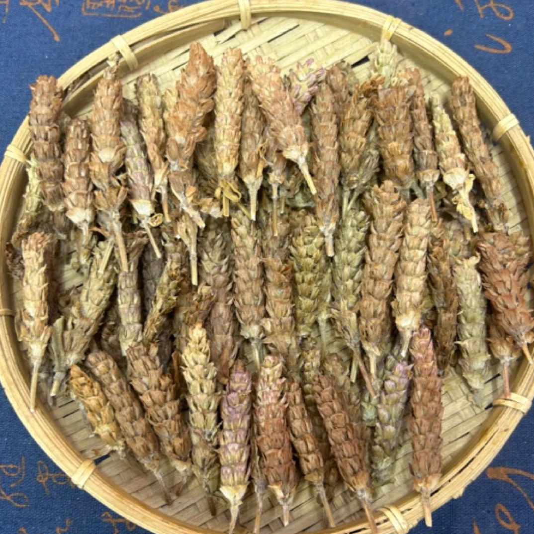 夏枯球 夏枯花 纯穗