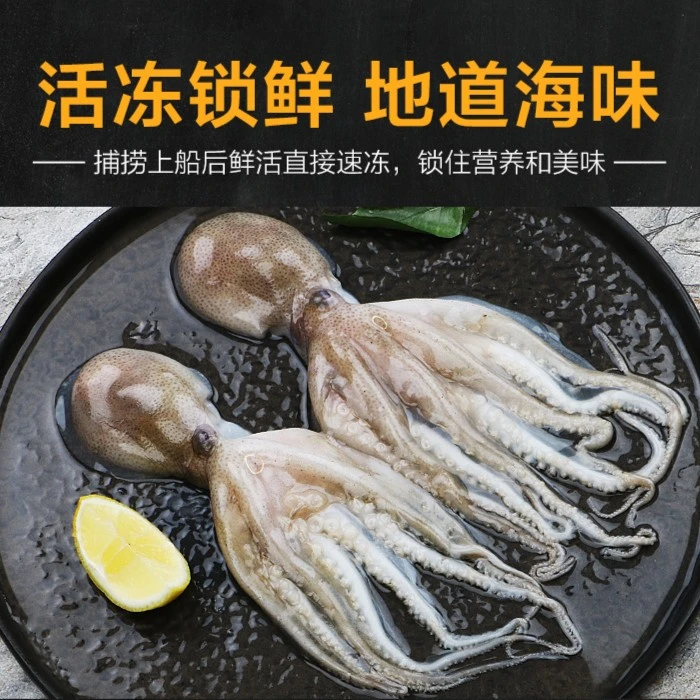 【4盒福利】渤海湾八带鱼小八爪鱼鲜活冷冻生鲜海鲜水产源头