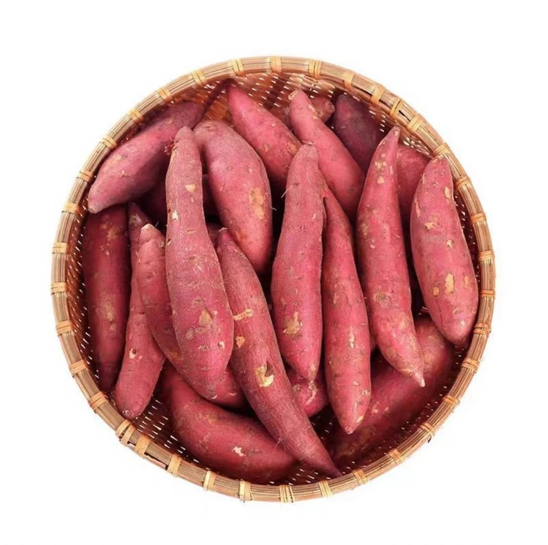 【不甜包退】陕西沙地蜜薯农家自种软糯香甜4斤装新鲜蜜薯 包邮