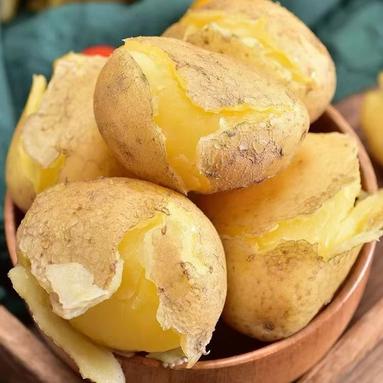 2025新鲜现挖定西沙面黄心土豆产地直供农家自种（粉面沙糯）