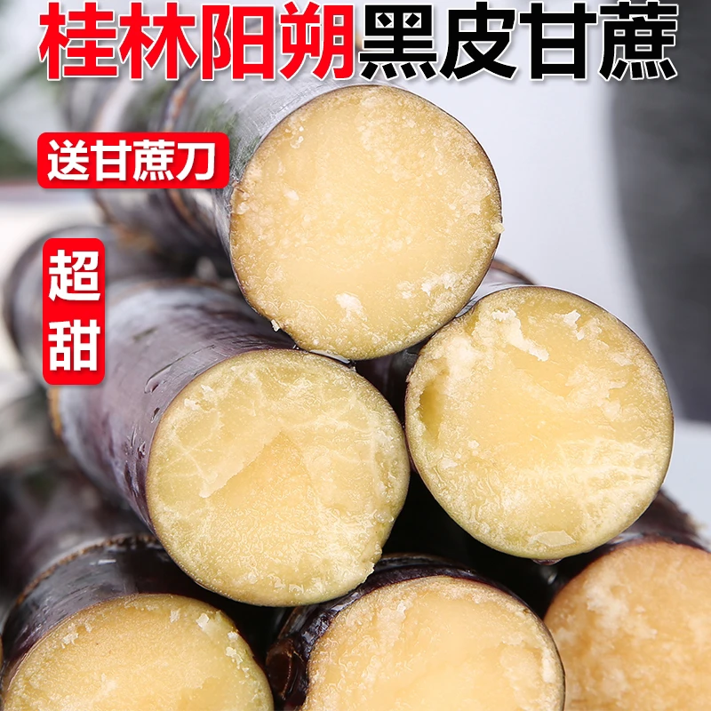 【精选中段】甘蔗广西阳朔黑皮甘蔗净重5斤9斤应季甜杆新鲜水果包甜