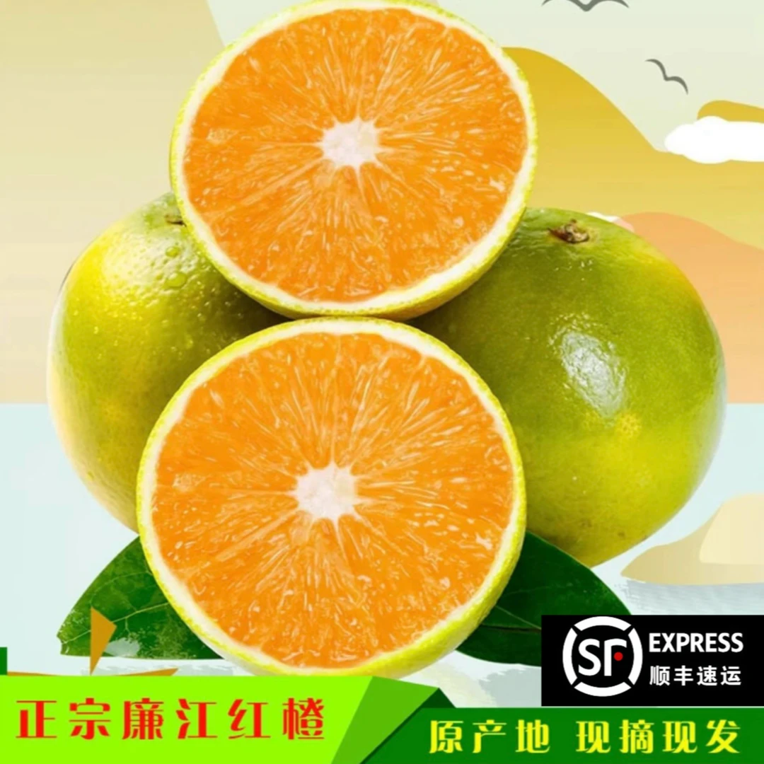 正宗广东廉江红橙 皮薄多汁 新鲜果园现摘现发 产地直发