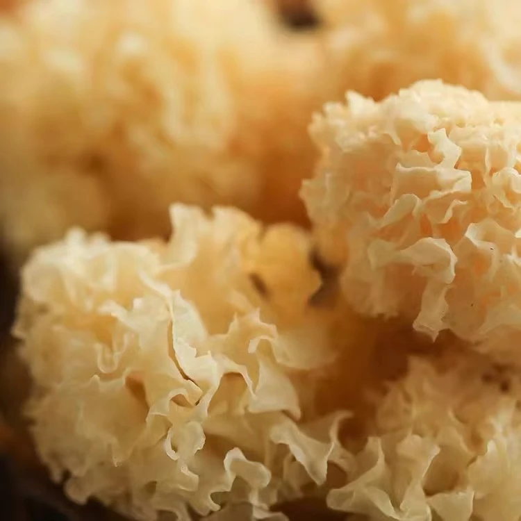 应季新货古田银耳批发特产食用菌干货无硫磺银耳煲汤甜品银耳羹