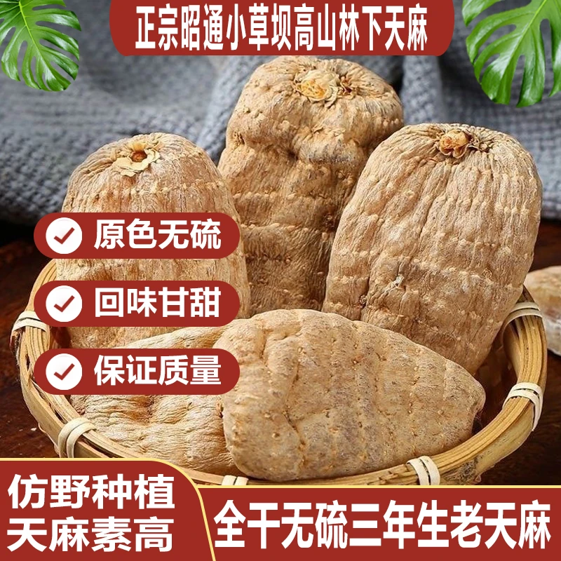 正宗云南昭通小草坝天麻本色乌天麻防野生种植林下天麻营养煲汤