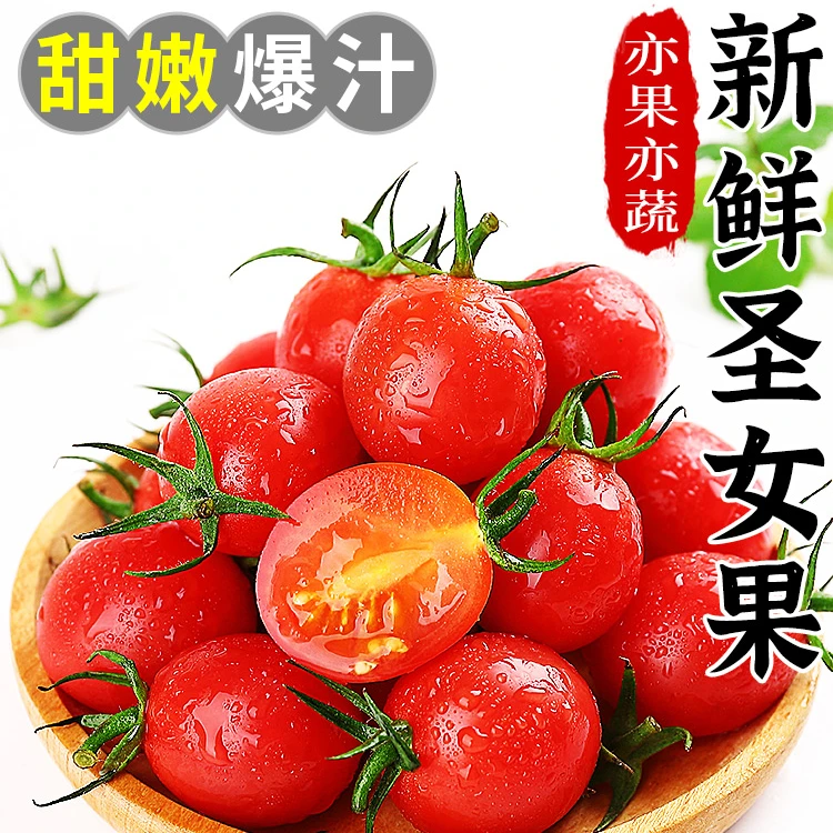 【寒冷地区】自然成熟攀枝花小番茄圣女果新鲜水果精品1/2/3/5斤