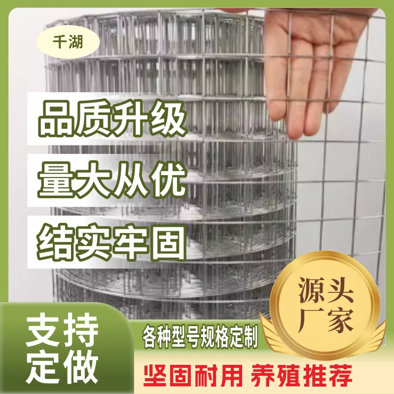热镀锌方孔铁丝网钢丝网电焊网防腐防锈鸡笼兔笼鸡鸭鹅围网防护网