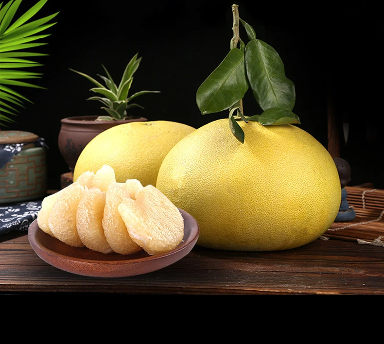 浙江玉环特产文旦柚现摘鲜嫩孕妈水果玉环文旦自家果园送礼老树