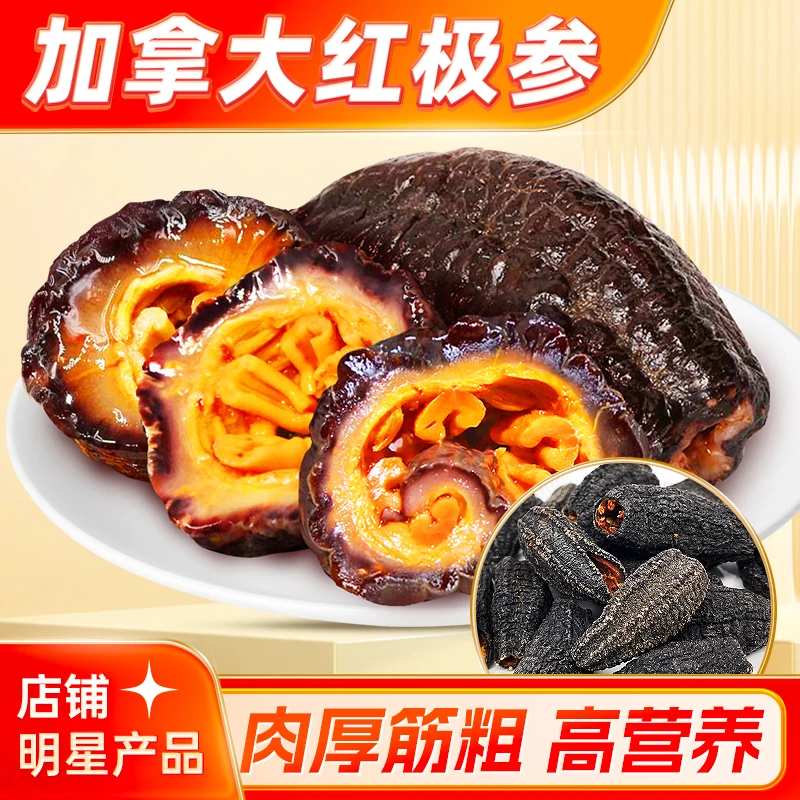 正宗加拿大深海红极参 淡干海参干货 肉厚饱满 美味营养煲汤炒菜