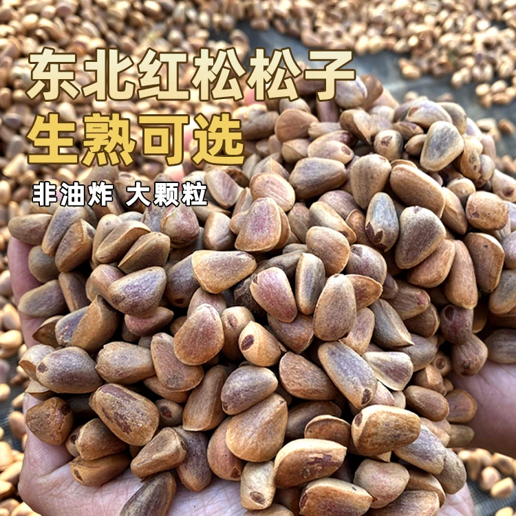 东北红松松子 开口大松子 原味 当年新货 非油炸 鲜松子 大颗粒