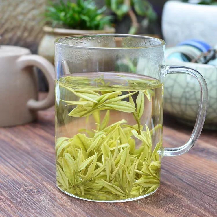 安吉白茶2025茶明前茶