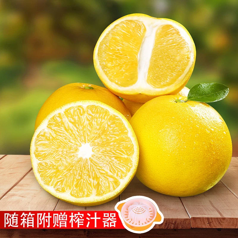 福建黄金葡萄柚4.5-5斤新鲜水果黄肉蜜柚当季香甜柚子多仓发货