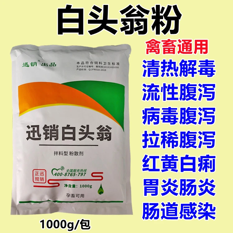 兽用白头翁粉猪牛羊鸡鸭鹅清热病毒凉血腹泻拉稀胃肠炎饲料添加剂