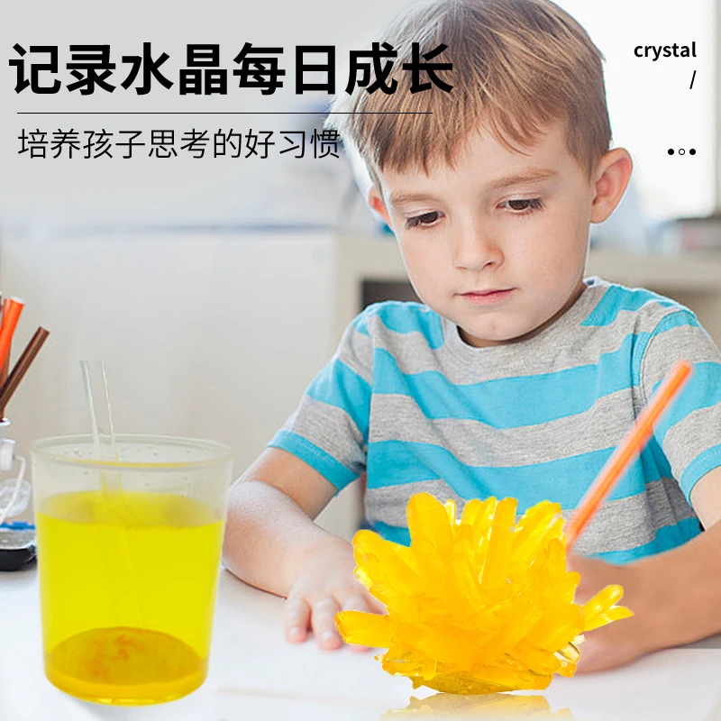 龙图创客水晶种植生长科学小实验套装儿童圣诞节礼物具魔法水晶花