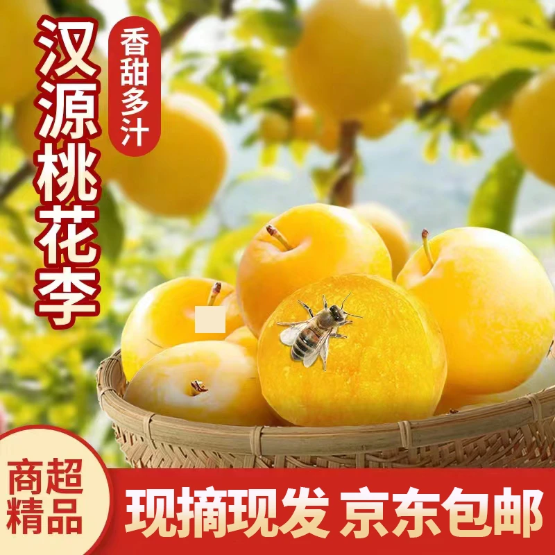 【净重3斤】四川汉源桃花李/冰糖李 高山种植 现采现摘 京东包邮