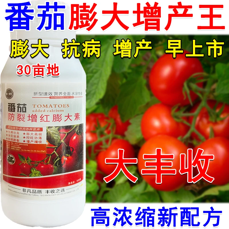番茄专用叶面肥番茄叶面肥膨大剂番茄膨大亮红素增红上色提质增产