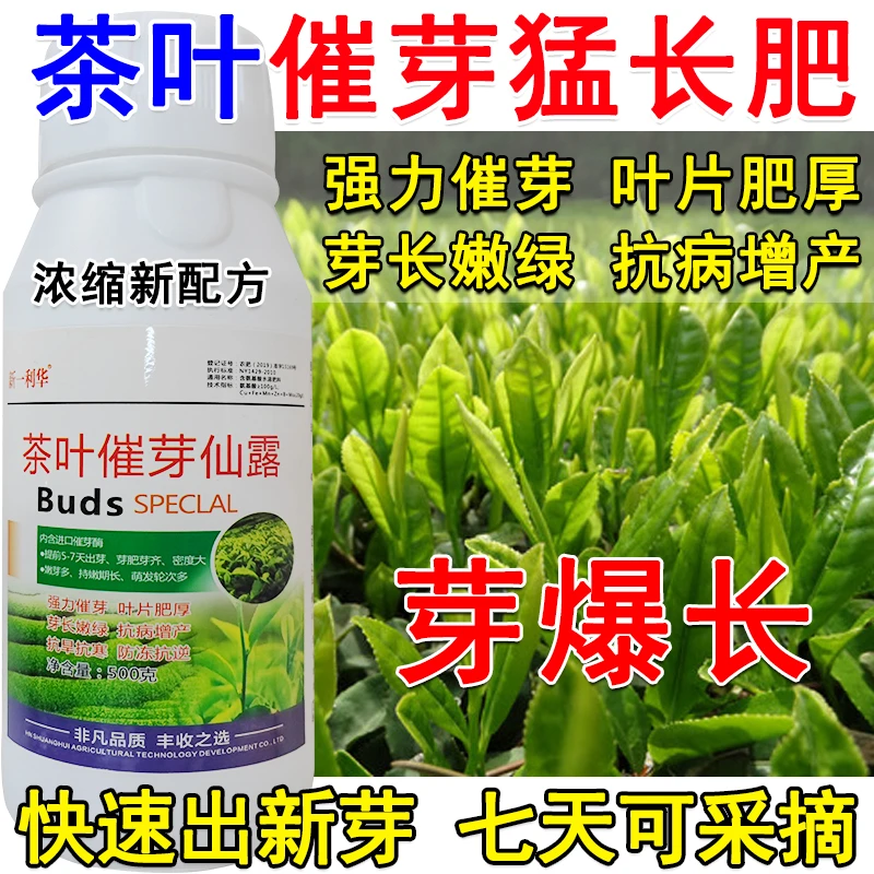 茶叶专用叶面肥茶树催芽剂爆芽素黄叶落叶茶叶茶树死苗黄叶变绿