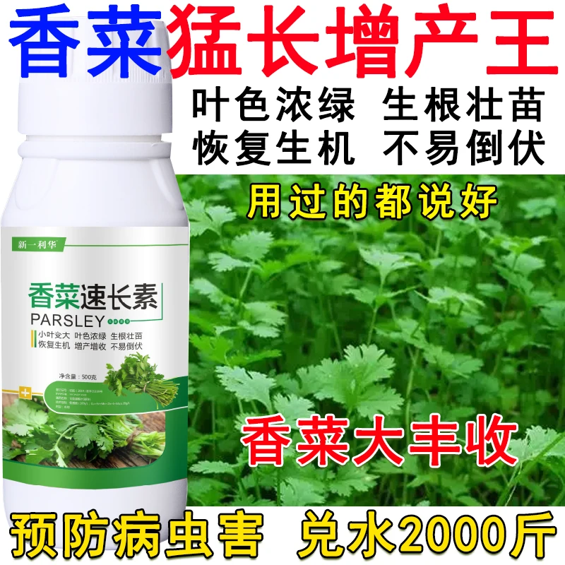 香菜叶面肥叶菜猛长香菜增产肥料生根壮苗提质增产抗病抗逆香菜肥