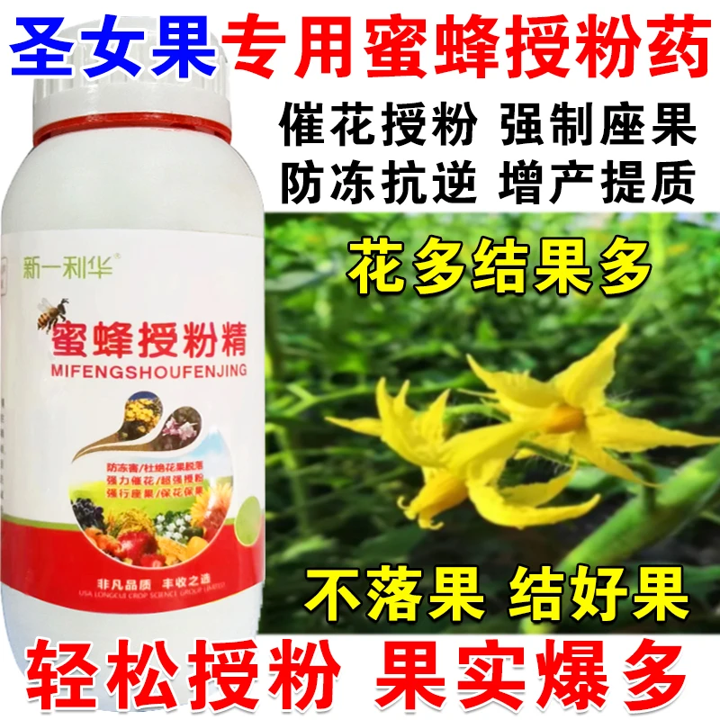 圣女果授粉药圣女果授粉座果精授粉花果素保花保果防落素沾花素