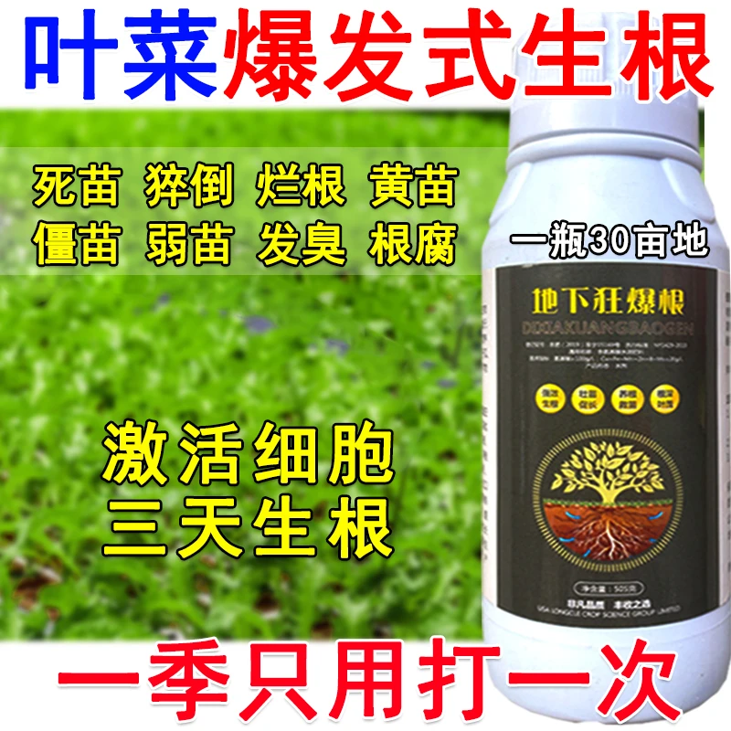 叶菜生根剂生根液叶菜生根壮苗剂生根菌肥死苗烂根黄叶弱苗根腐