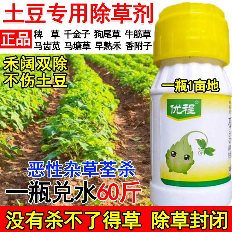 土豆田除草剂土豆苗后除草剂不伤土豆禾阔双除马唐狗尾草牛筋草