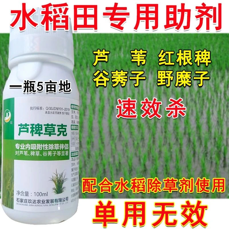 水稻芦苇除草剂水稻除草剂杀芦苇红根稗谷莠子野糜子等杂草除芦苇