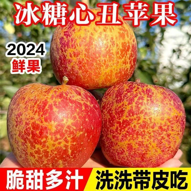 大凉山早熟溏心冰糖心丑苹果2024年新果新鲜采摘自然生长脆甜多汁