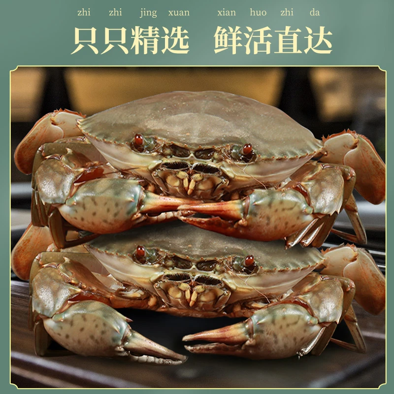 宁海野生小青蟹1只起送