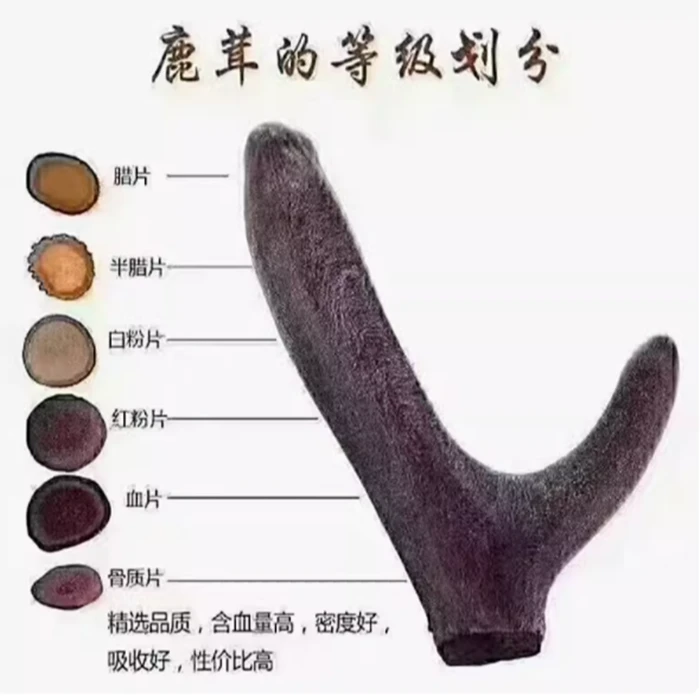 正宗梅花鹿 泡酒用  甩的