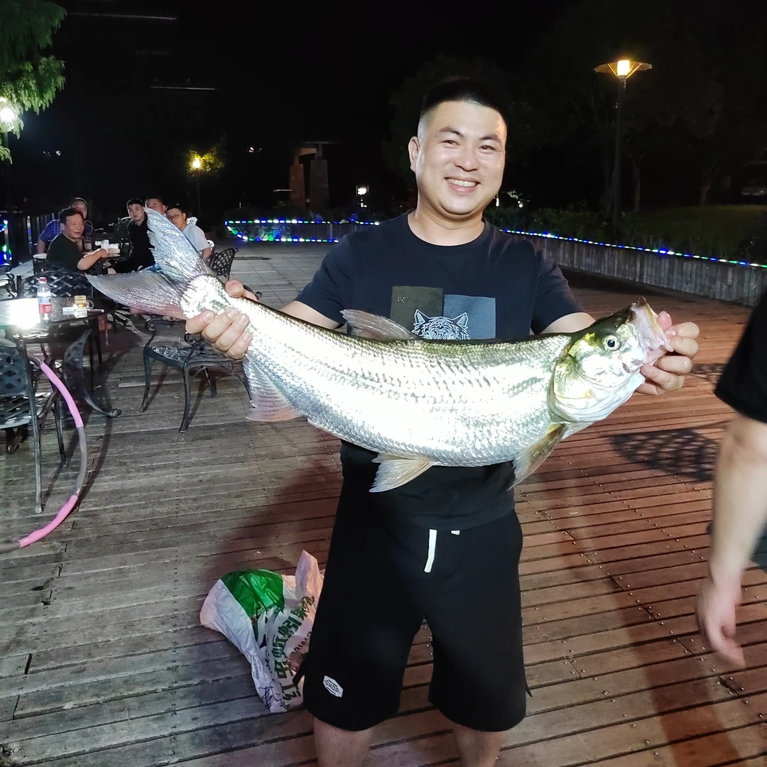 千岛湖野生翘嘴现补现宰现发8-20斤