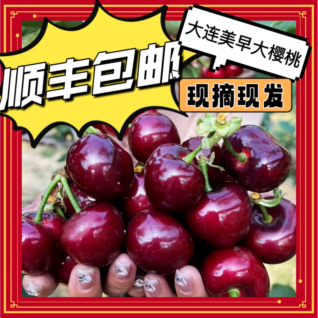 新鲜大连美早樱桃顺丰空运包邮1J-5J斤 内附果径卡