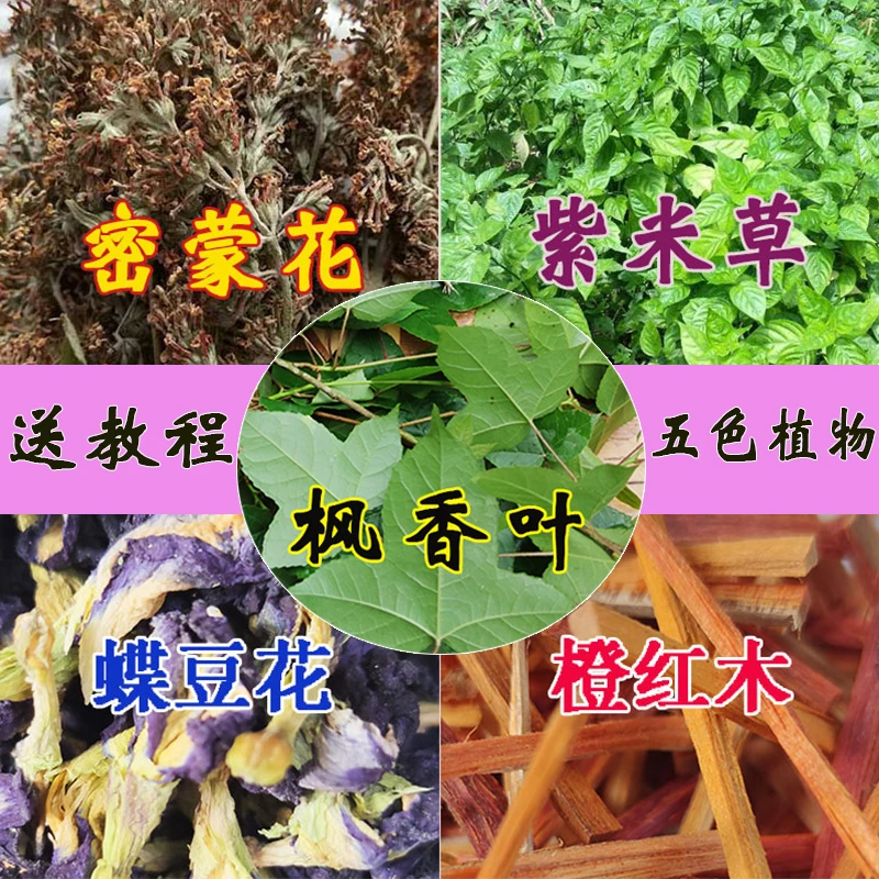 (客户定制)壮族三月三糯米饭颜色花植物染料五彩糯米饭染色花黄