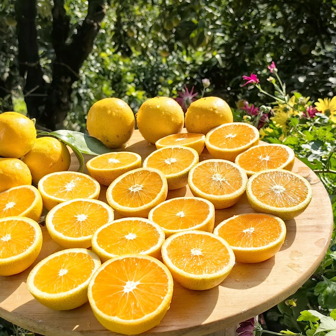 秭归脐橙九月红小果花皮果三十斤包邮