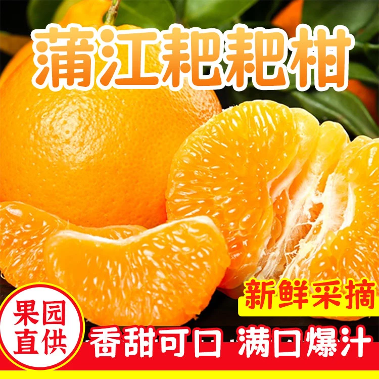 【邮政补贴5】四川春见耙耙柑5斤/8斤核心产地直发品质精选爆汁新鲜