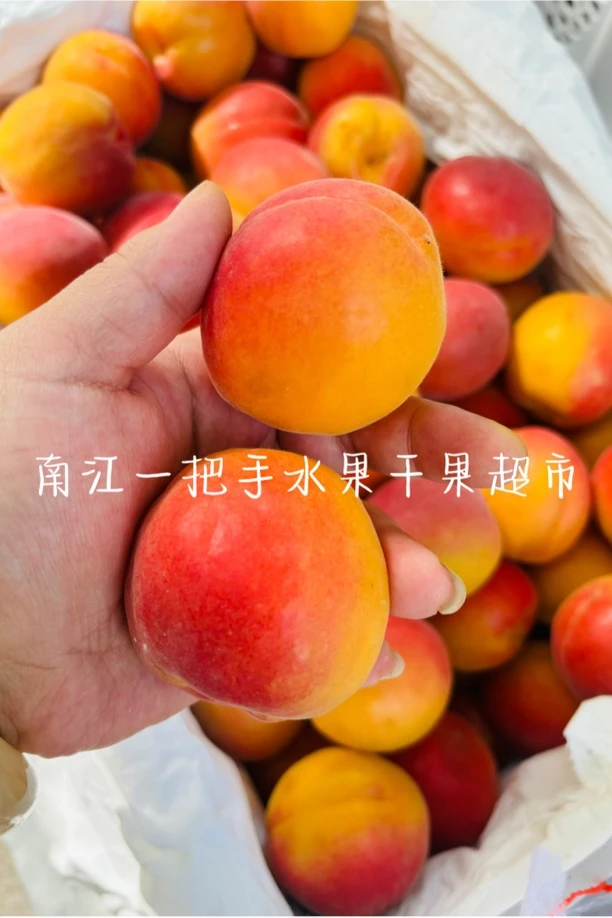 杏一斤杏同城配送杏子同城送