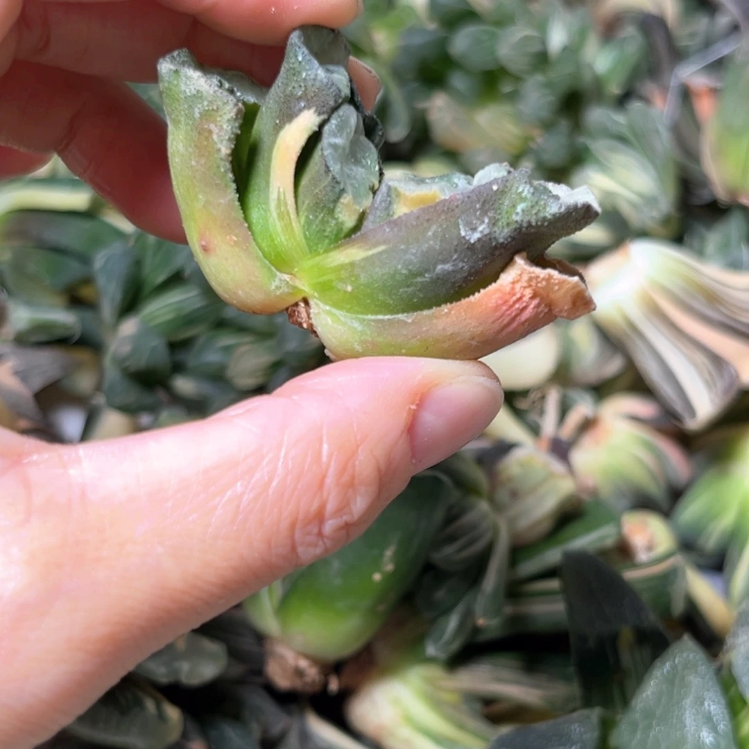 91.88888888888888888