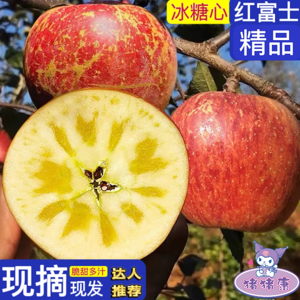 【猪猪康】微瑕四川大凉山盐源糖心苹果现摘现发脆甜多汁带皮吃