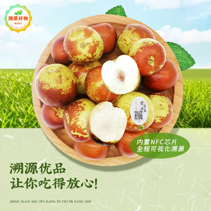 宜方水土陕西爆甜新鲜大荔冬枣无渣鲜枣优品（3斤装）（顺丰）