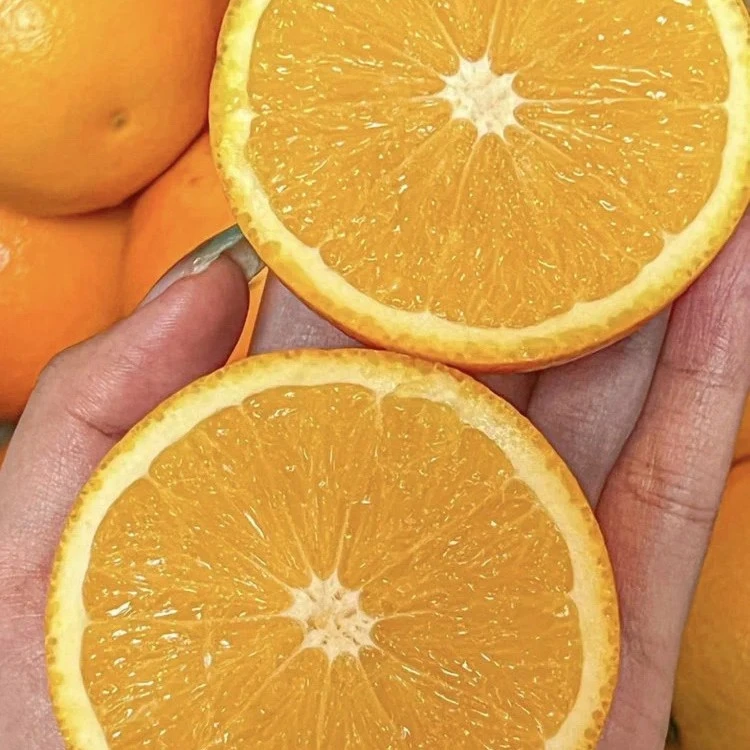 澳洲橙